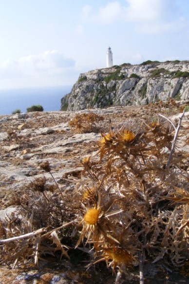 phare